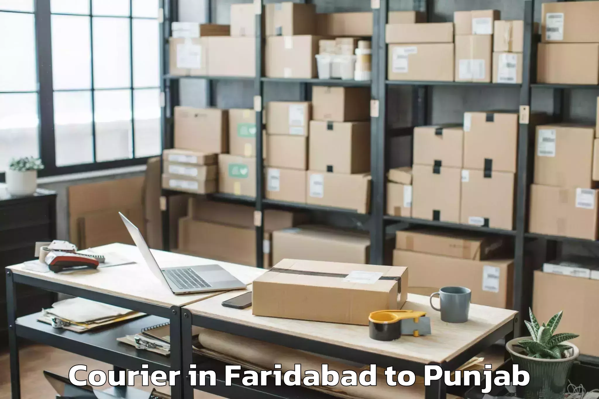 Quality Faridabad to Banga Courier